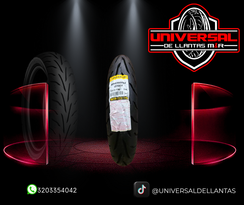 LLANTA DUNLOP GT601 130/70-17 TL